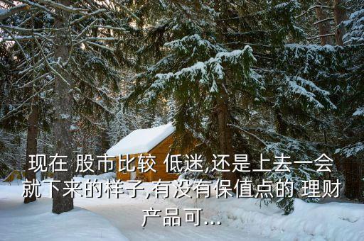 現(xiàn)在 股市比較 低迷,還是上去一會(huì)就下來(lái)的樣子,有沒有保值點(diǎn)的 理財(cái)產(chǎn)品可...