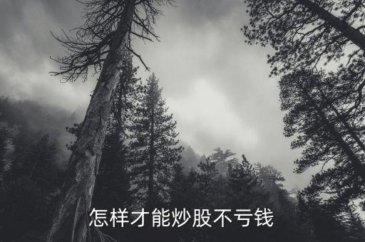 怎樣才能炒股不虧錢(qián)