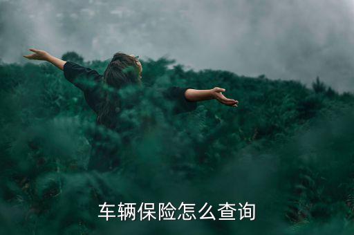 怎么差車險(xiǎn),國(guó)人可通過(guò)電話查詢汽車保險(xiǎn)情況