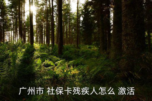  廣州市 社?？埣踩嗽趺?激活