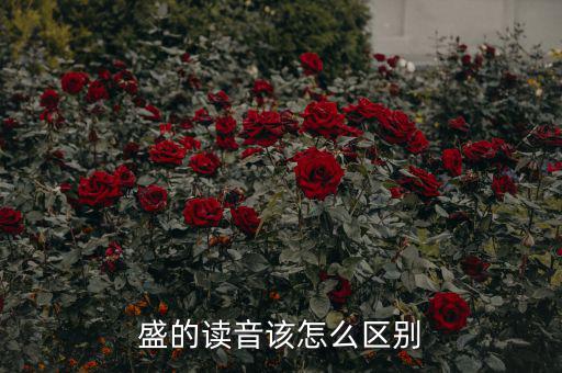 嘉盛中心的盛怎么讀,盛會、豐盛、茂盛、盛大等五個漢字
