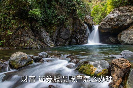 財(cái)富證券怎么開(kāi)戶(hù),東方財(cái)富net如何開(kāi)戶(hù)和使用