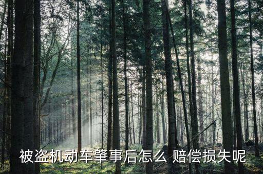 被盜機(jī)動(dòng)車(chē)肇事后怎么 賠償損失呢