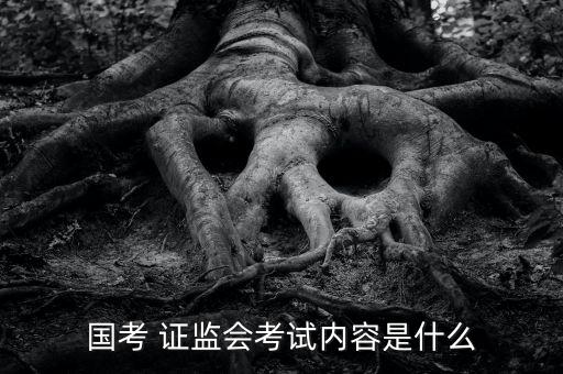 國考 證監(jiān)會考試內容是什么