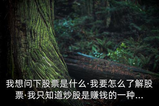 進行個股簡單說明怎么寫,投資股票要學會釣魚，學會吃魚!