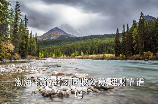 渤海銀行理財(cái)產(chǎn)品怎么樣,渤海銀行漸進(jìn)開放理財(cái)產(chǎn)品1號(hào)無(wú)保本