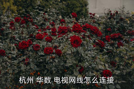 杭州 華數 電視網線怎么連接