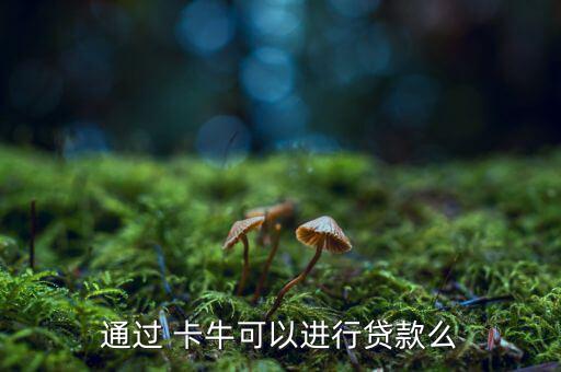通過 卡?？梢赃M行貸款么