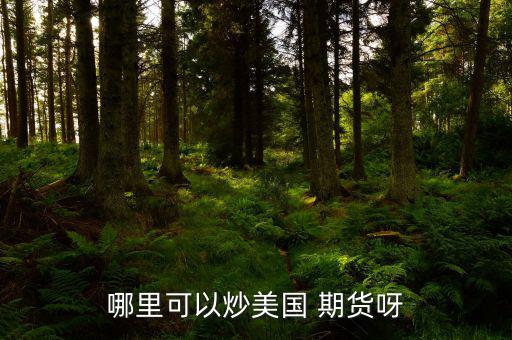 怎么炒美國期貨,期貨交易特點(diǎn):交易費(fèi)用由期貨公司提供；