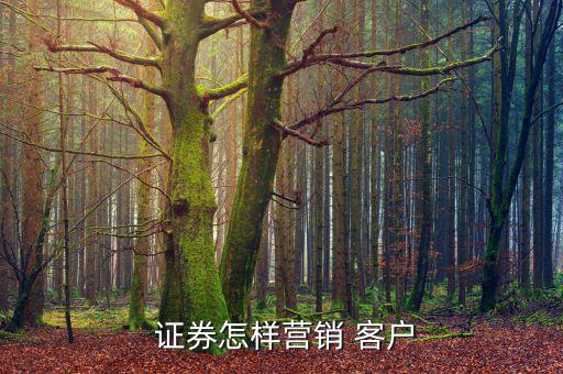  證券怎樣營(yíng)銷(xiāo) 客戶(hù)