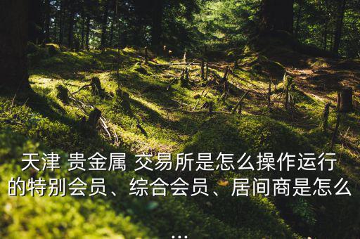 天津 貴金屬 交易所是怎么操作運行的特別會員、綜合會員、居間商是怎么...