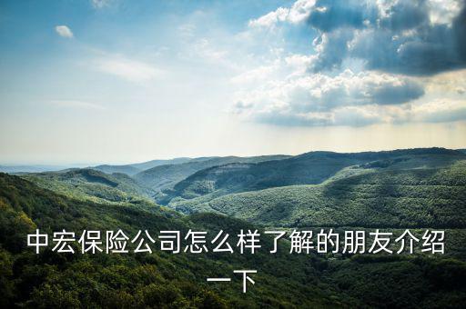 中宏理財(cái)怎么樣,中宏保險獲金理財(cái)最具潛力保險公司獎