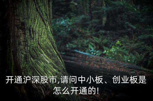 開通滬深股市,請(qǐng)問中小板、創(chuàng)業(yè)板是怎么開通的!
