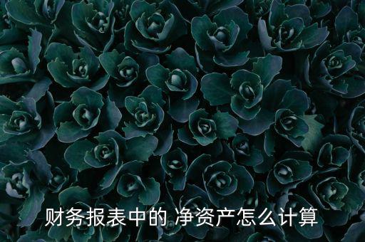 財務(wù)報表中的 凈資產(chǎn)怎么計(jì)算