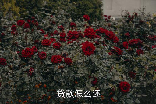 貸款怎么還合適,中國銀行推出等額本息、月均本金等還款方式