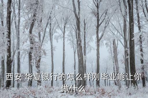 華夏銀行總會計(jì)怎么樣,股份制銀行收入明顯高于大型國有銀行
