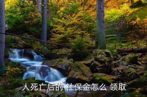 人死后社保怎么領(lǐng)取,如何使用社?？?!