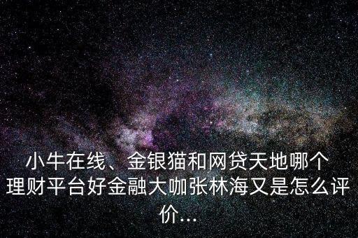  小牛在線、金銀貓和網(wǎng)貸天地哪個(gè) 理財(cái)平臺(tái)好金融大咖張林海又是怎么評(píng)價(jià)...