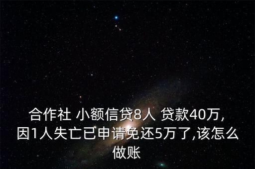 小額貸款公司怎么做帳,出納和會計(jì)不是同個(gè)人應(yīng)分開記賬和報(bào)稅