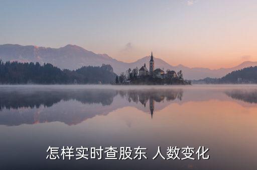 怎樣實(shí)時查股東 人數(shù)變化