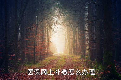怎么補(bǔ)交醫(yī)保,因個(gè)人原因斷了社?？缮暾?qǐng)公司為自己繳納費(fèi)用