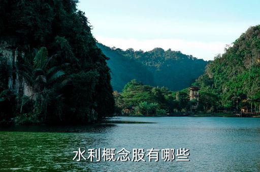 安徽水利股票怎么樣,水利股份、證券股龍頭股名單出爐