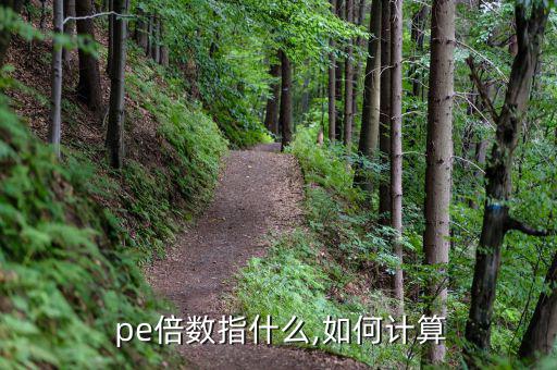  pe倍數指什么,如何計算