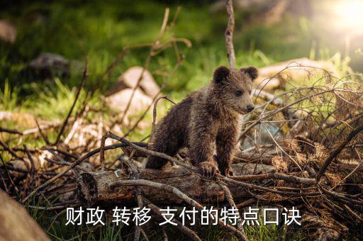  財政 轉(zhuǎn)移 支付的特點(diǎn)口訣