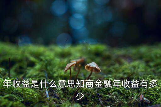 資金占用年收益是什么意思，利息支出中有個資金占用費這個是什么意思