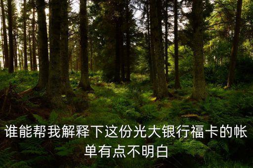 光大的賬單明細(xì)都什么意思，誰能幫我解釋下這份光大銀行?？ǖ膸斡悬c(diǎn)不明白