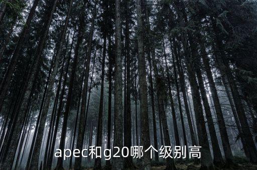 國際貿(mào)易額由什么組成，國際貿(mào)易額和對(duì)外貿(mào)易額兩者的區(qū)別