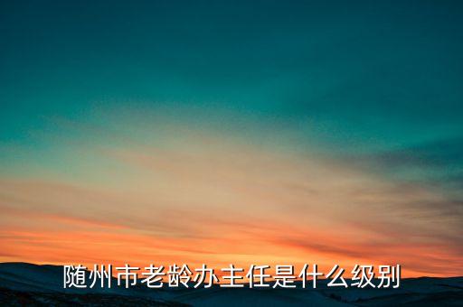 全國老齡辦副主任什么級(jí)別，全國老齡委辦公室副主任 什么級(jí)別