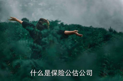 什么是承保公估，保險中的公估是什么概念