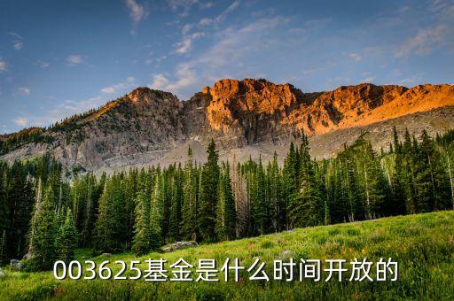 001815什么時候開放，003625基金是什么時間開放的