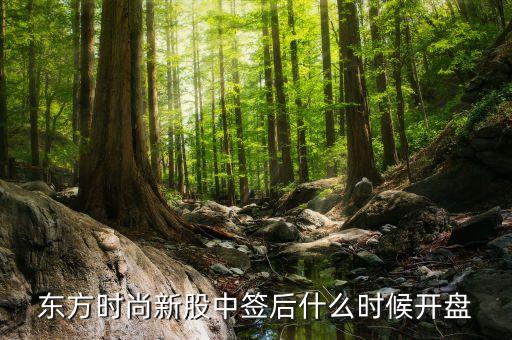 浙江東方股票什么時候開盤，東方申購啥時候開盤時間