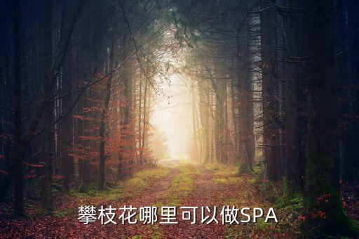 雅化集團(tuán)攀枝花恒泰做什么的，攀枝花哪里可以做SPA