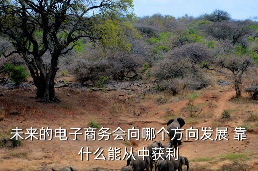 未來電商什么會(huì)掙錢，未來的電子商務(wù)會(huì)向哪個(gè)方向發(fā)展 靠什么能從中獲利