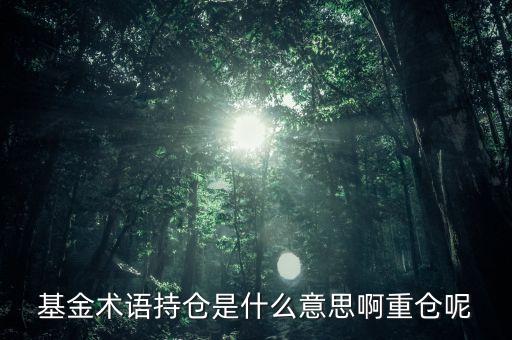 etf持倉是什么意思，基金術(shù)語持倉是什么意思啊重倉呢