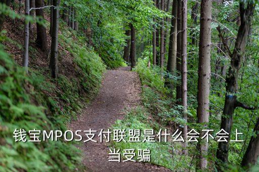 恒寶mpos是什么，錢寶MPOS支付聯盟是什么會不會上當受騙