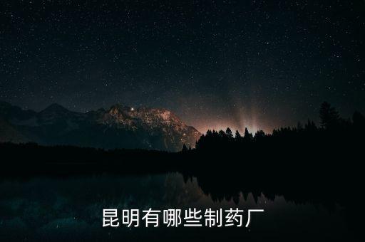 昆藥全資子公司都有什么，昆明有哪些制藥廠