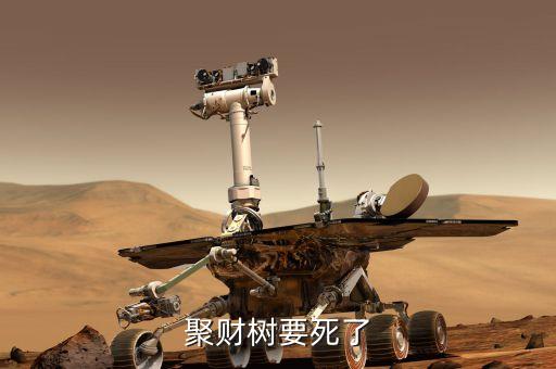 聚才樹能用什么肥，聚財(cái)樹要死了