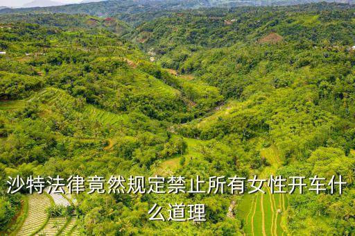 為什么沙特女人不能開車，全球唯一禁止女司機開車的是哪個國家