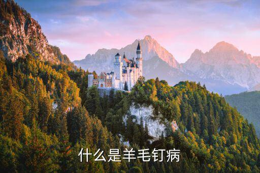 羊毛丁是什么病，什么是羊毛釘病