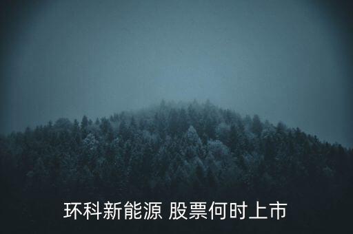新能源股票什么時候上市呢，環(huán)科新能源 股票何時上市