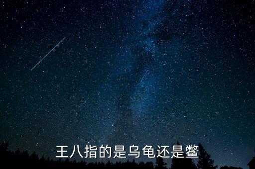 海王八指什么，什么是海王八