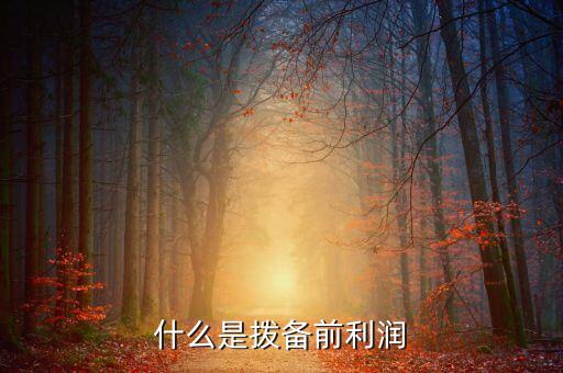 撥備前利潤(rùn)是什么意思，什么是撥備前利潤(rùn)
