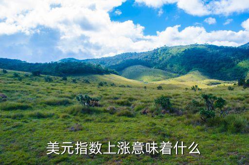 美元指數(shù)上漲什么意思，美元指數(shù)上漲下跌表明什么