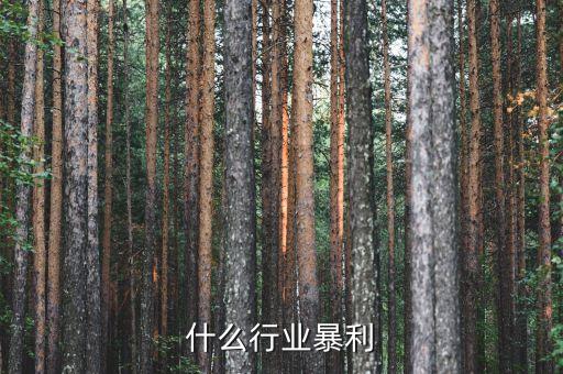 什么行業(yè)暴利，什么行業(yè)暴利