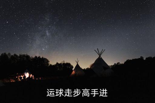 德隆治下的湘火炬戰(zhàn)略不包括什么，德隆治下的湘火炬戰(zhàn)略包括有哪些