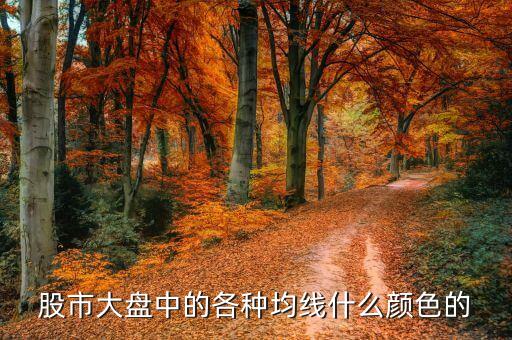 均線是什么顏色，股票的均線是哪一條什么顏色